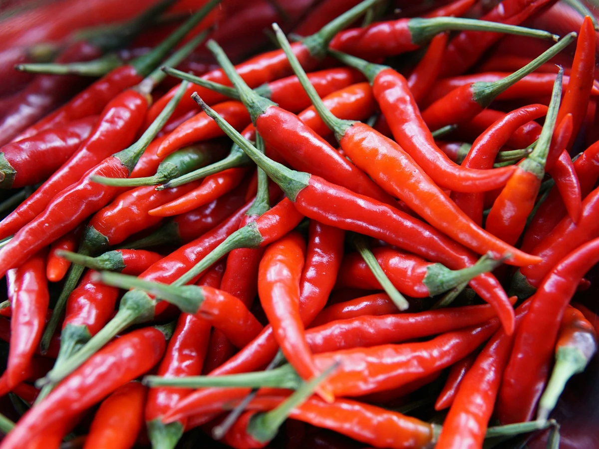 Cabai merah segar; foto stok