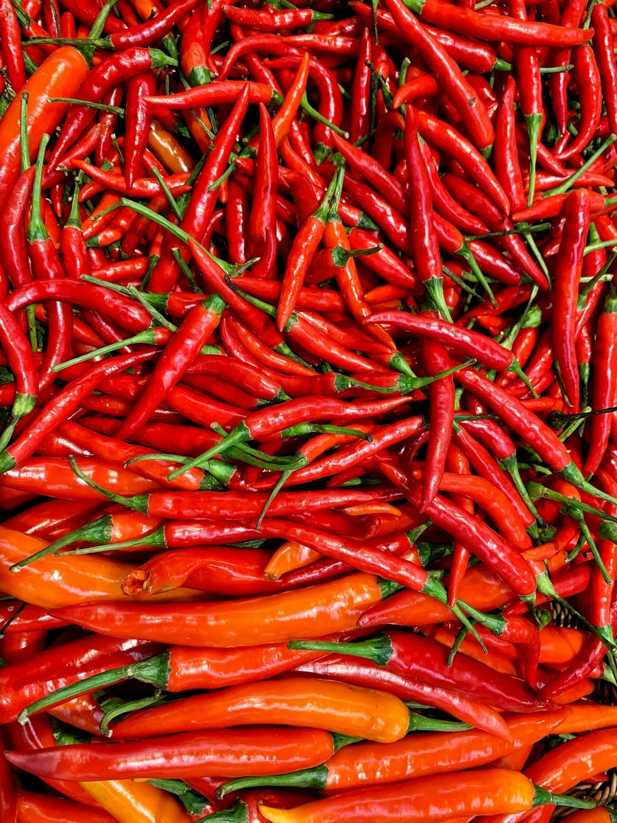 Tumpukan cabai merah; foto stok